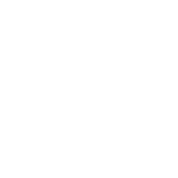 project branding