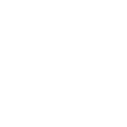 Drone Shoot